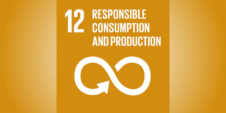 Sustainable goal no. 12