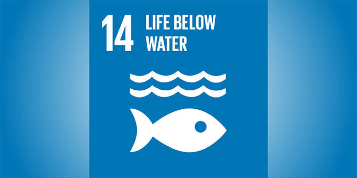 Sustainable goal no. 14